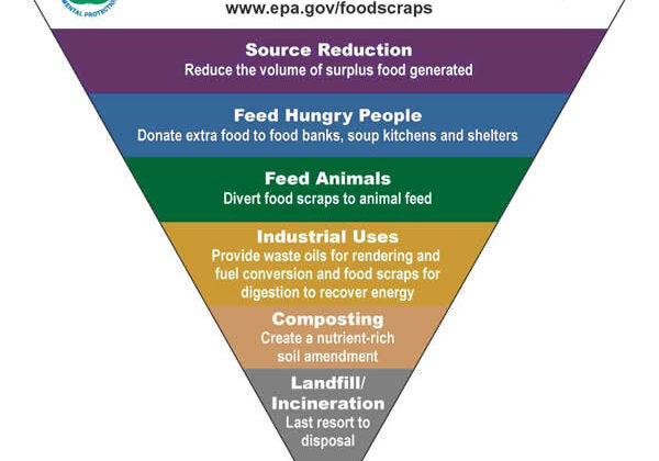 food-waste-hierarchy.